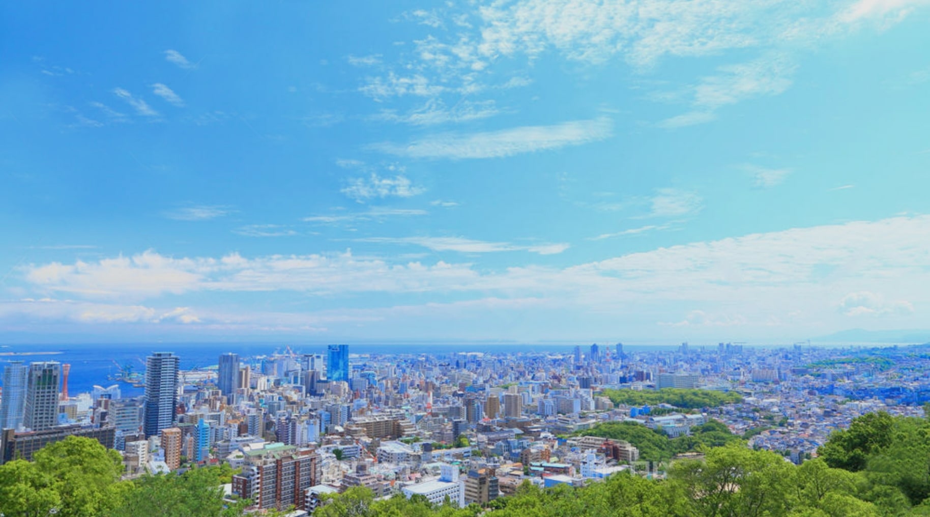 スペシャルコンテンツ